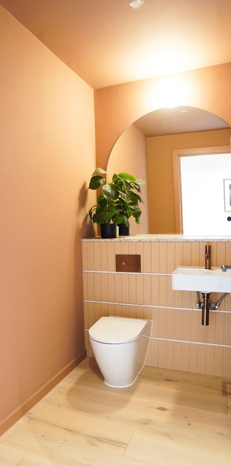 Cloakroom painted terracotta on walls and ceiling with an arched mirror